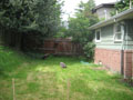backyard downlevel.JPG